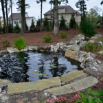 Koi Pond Water Garden