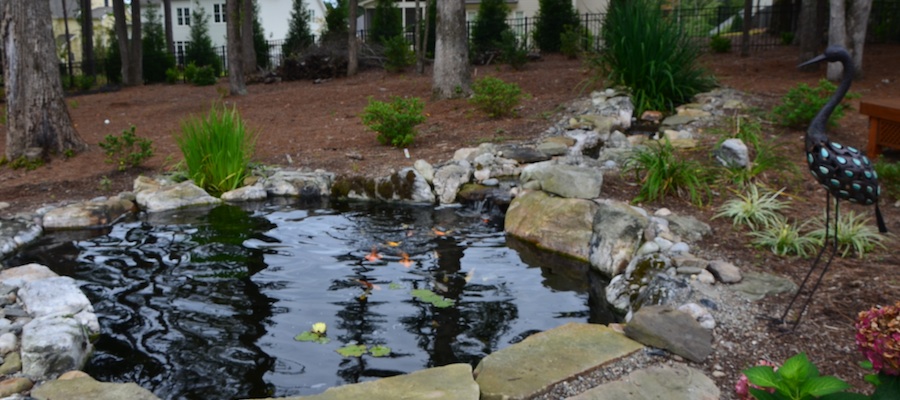 Water Gardens