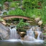 Waterfall and Water Garden