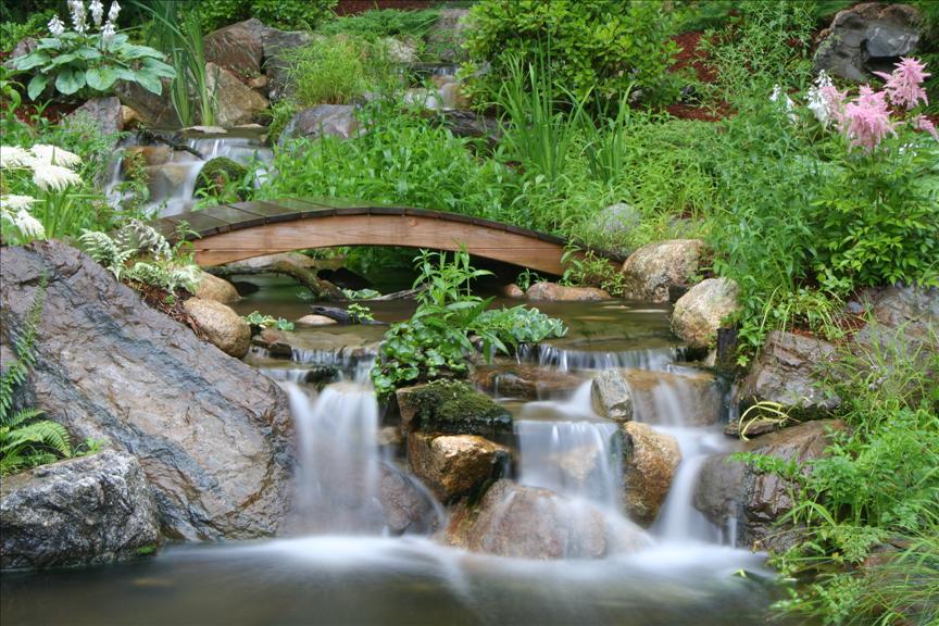 Waterfall and Water Garden