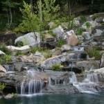 Waterfall and Water Garden