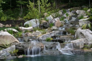 Waterfall and Water Garden