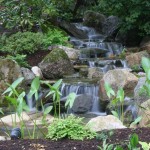 Waterfall and Water Garden