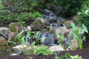 Waterfall and Water Garden