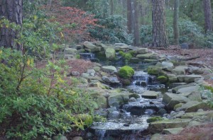 Raleigh stream into koi pond